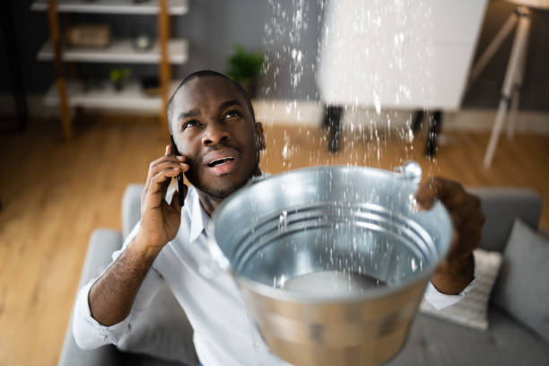 Best Carpet water damage restoration  in Homestead Meadows North, TX