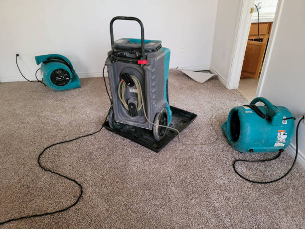Best 24-hour water damage restoration  in Homestead Meadows North, TX