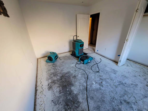 Best Water damage restoration services  in Homestead Meadows North, TX