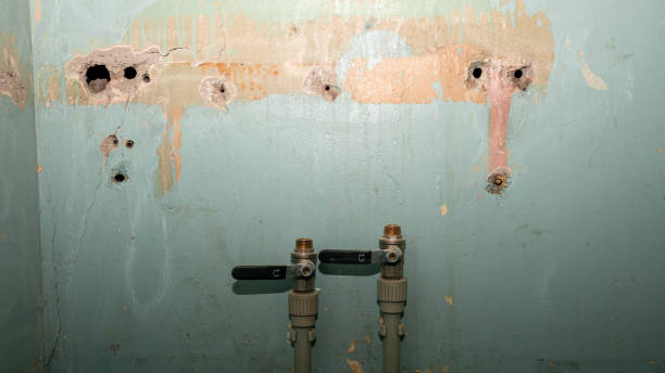 Best Water damage restoration insurance claims  in Homestead Meadows North, TX