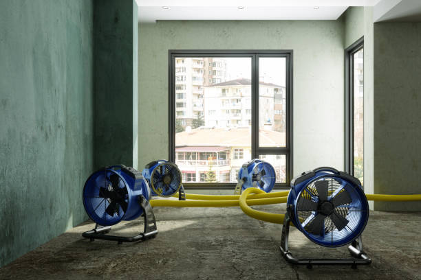 Best Water damage repair service  in Homestead Meadows North, TX