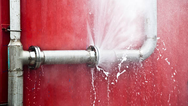 Best Water damage restoration near me  in Homestead Meadows North, TX
